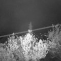 Webcam_20190429-213000