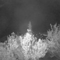Webcam_20190429-220000