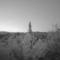 Webcam_20190501-053000
