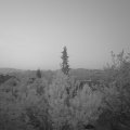 Webcam_20190502-053000