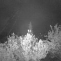 Webcam_20190504-050000