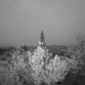 Webcam_20190504-053000