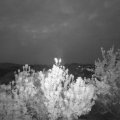 Webcam_20190507-050000