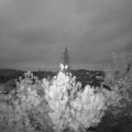 Webcam_20190512-050000
