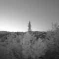 Webcam_20190514-050000