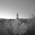 Webcam_20190515-050000
