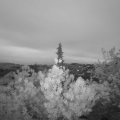 Webcam_20190517-050000