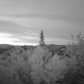 Webcam_20190518-050000