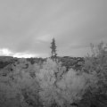 Webcam_20190519-050000