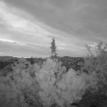 Webcam_20190520-050000