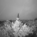 Webcam_20190521-050000