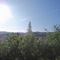 Webcam_20190531-080000
