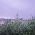 Webcam_20190608-050000