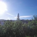 Webcam_20190609-080000