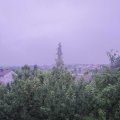Webcam_20190611-053000
