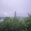 Webcam_20190611-073000
