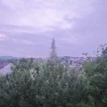 Webcam_20190620-050000