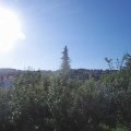 Webcam_20190703-080000