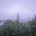 Webcam_20190712-060000