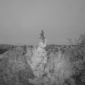 Webcam_20190719-220000
