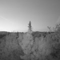 Webcam_20190722-050000