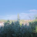Webcam_20190722-200000