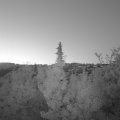 Webcam_20190723-050000