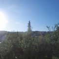 Webcam_20190724-073000