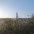 Webcam_20190726-063000