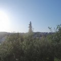 Webcam_20190726-073000