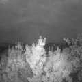 Webcam_20190728-050000