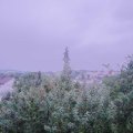 Webcam_20190728-213000