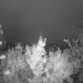 Webcam_20190728-220000