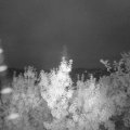Webcam_20190729-050000