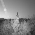 Webcam_20190730-050000