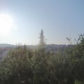 Webcam_20190730-080000
