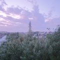 Webcam_20190731-053000