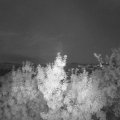 Webcam_20190731-220000