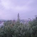 Webcam_20190803-060000