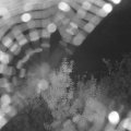 Webcam_20190803-220000