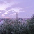 Webcam_20190804-053000