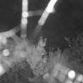 Webcam_20190805-220000
