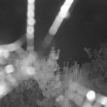 Webcam_20190806-050000