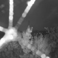Webcam_20190806-213000