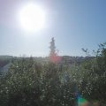 Webcam_20190811-090000