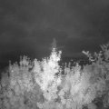 Webcam_20190815-213000