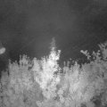 Webcam_20190816-050000