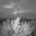 Webcam_20190816-053000