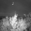 Webcam_20190816-213000
