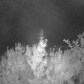Webcam_20190817-220000